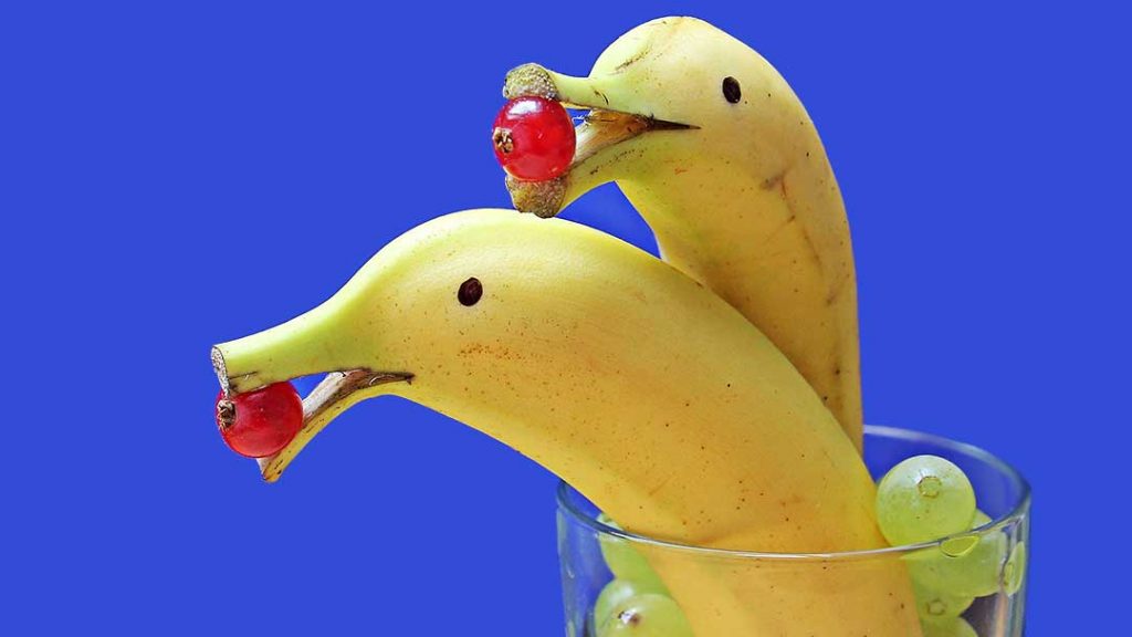 delfin-bananas