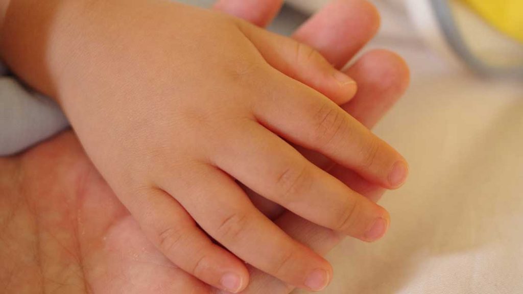 hands